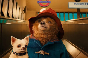 Paddington’s journey